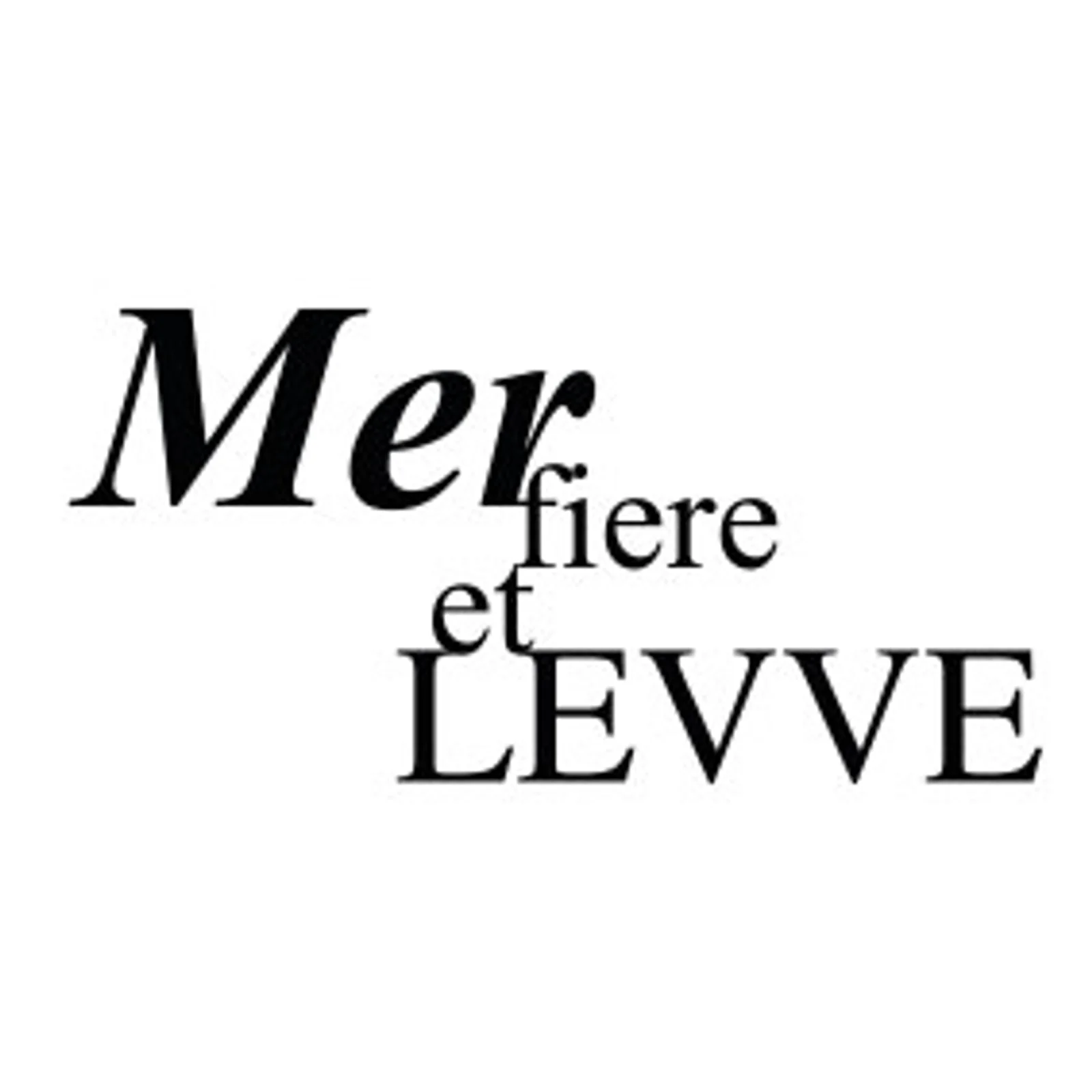 typoBILD "Mer fiere et Levve!"