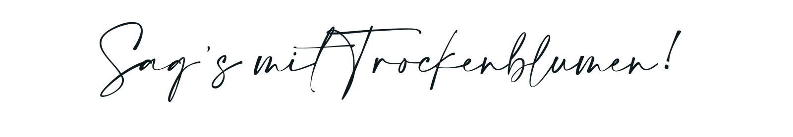 SE_900_80_wwwX-3.png