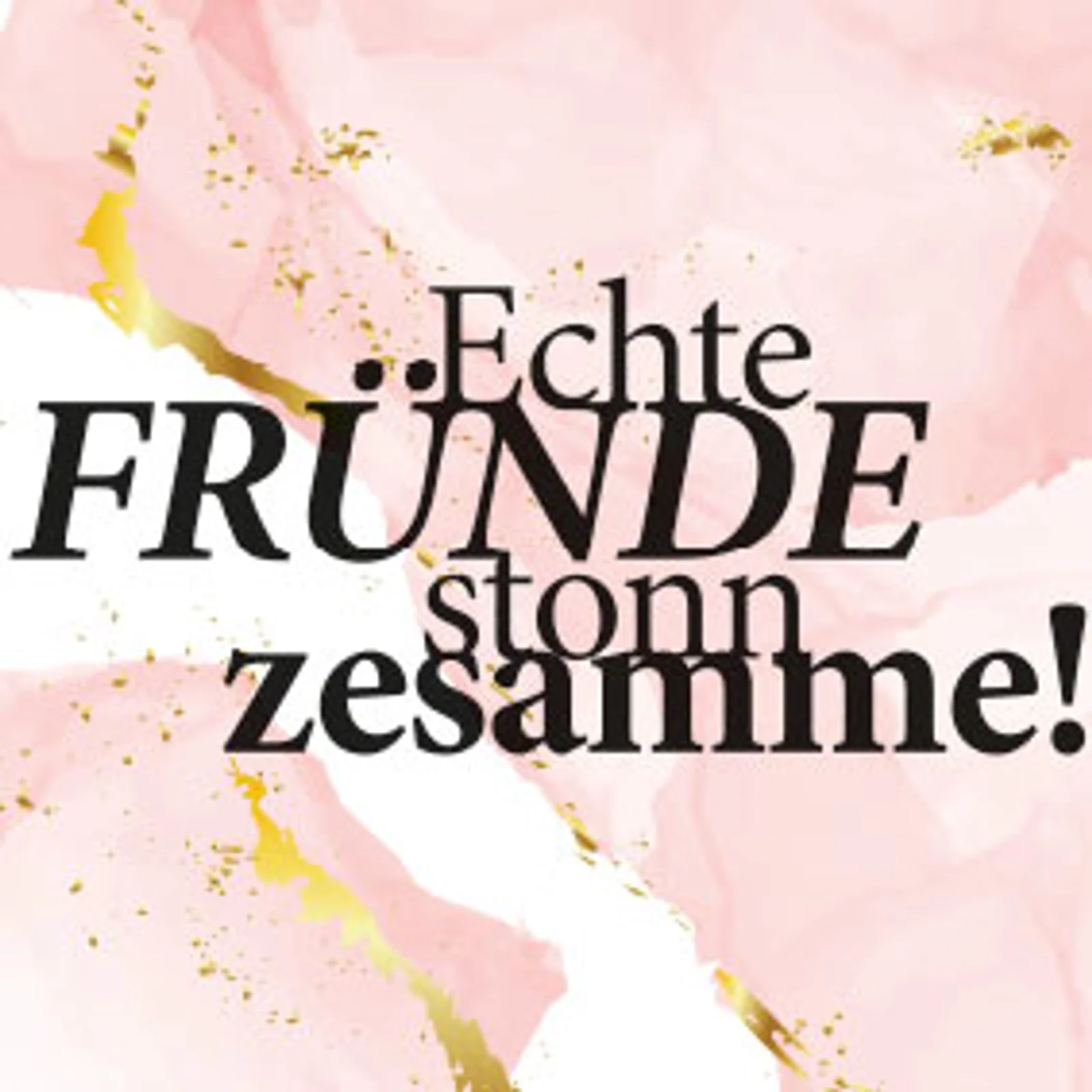 typoBILD "Echte Fründe stonn zesamme!"