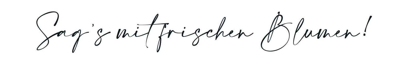 SE_900_80_wwwX-4.png
